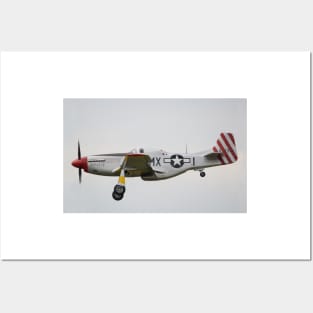 North American P-51D Mustang February Posters and Art